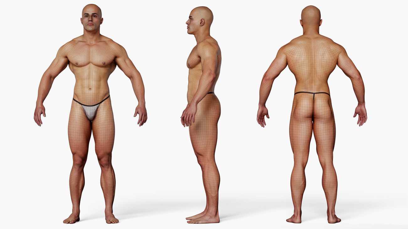 Download muscley male 3d model 